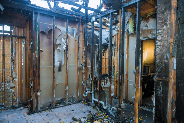 Professional Odor Removal technician working in Lutz, FL