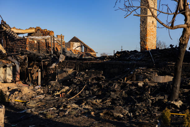 Reliable Odor Removal contractor in Lutz, FL by Meridian Smoke Damage