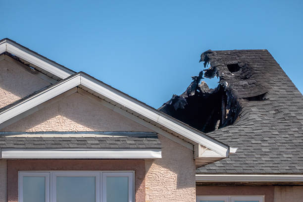 Top rated local Odor Removal specialists in Lutz, FL